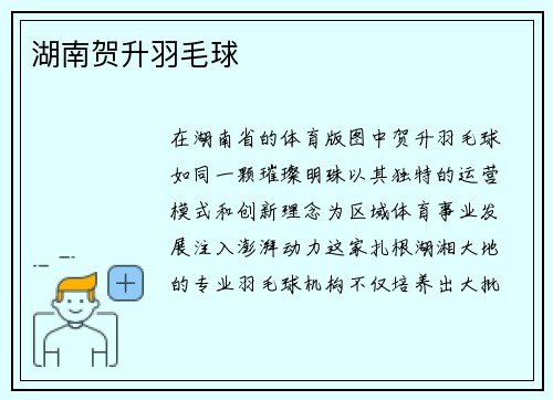 湖南贺升羽毛球